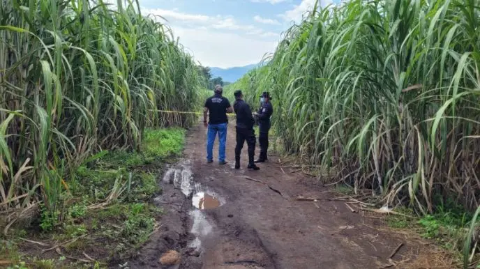 Trabajador de 70 a&ntilde;os de la construcci&oacute;n