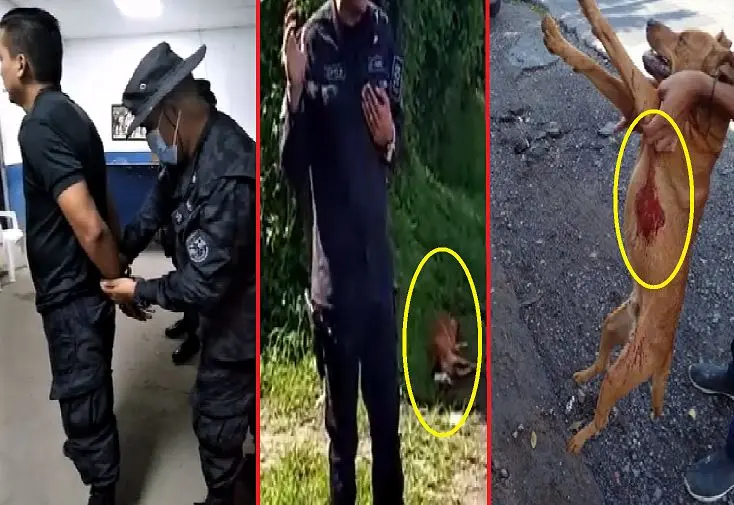 Arrestan a polic&iacute;a por matar a perro