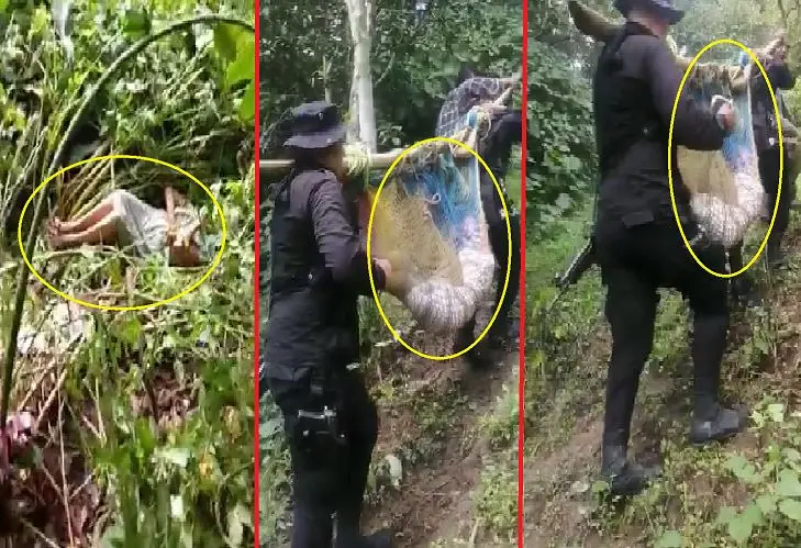 Polic&iacute;a rescata a mujer de 87 a&ntilde;os reportada como desaparecida