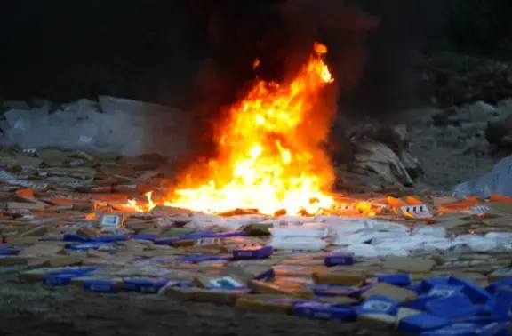 Destruyen coca&iacute;na