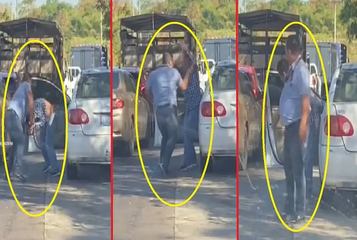 Conductor de helados Sarita 02