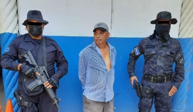 Envenen&oacute; a perros peque&ntilde;os