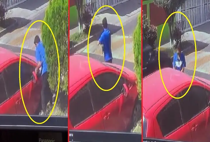 Hurtando molduras de veh&iacute;culo