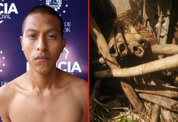 Pandillero se escond&iacute;a en varas de bamb&uacute;