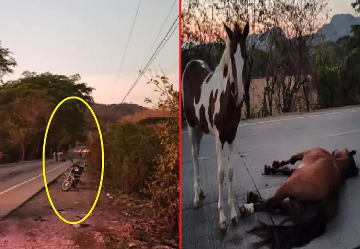 Motociclista de 60 a&ntilde;os