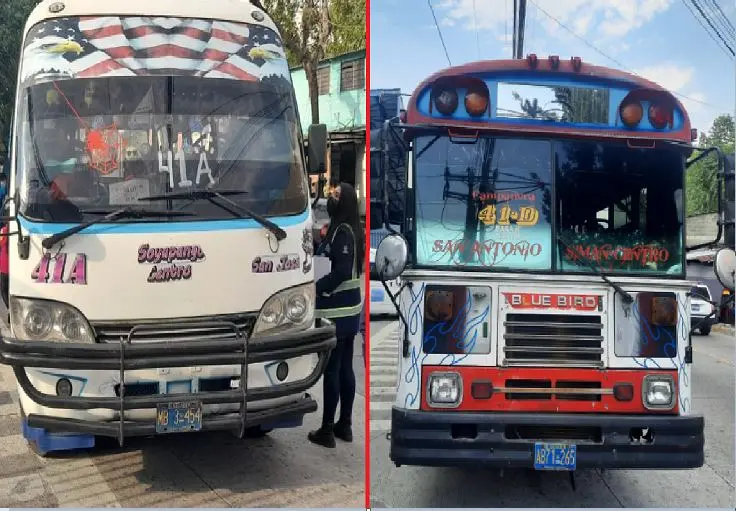 Microbusero y busero