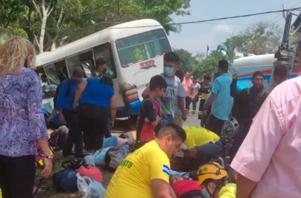 Microb&uacute;s de la 113