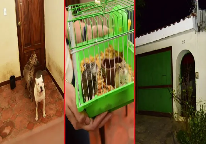 Casa destroyer en Antiguo Cuscatl&aacute;n