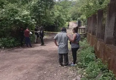 Perros en La Uni&oacute;n