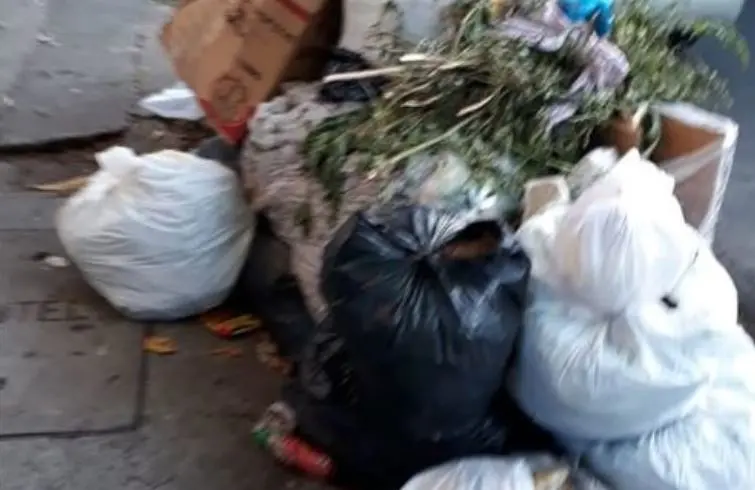 Reci&eacute;n nacido en basurero