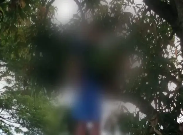 Se ahorca en una rama de &aacute;rbol
