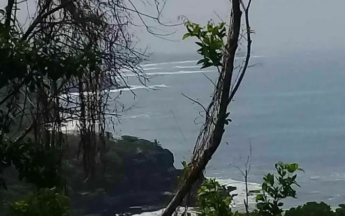 Manglares cerca del El Palmarcito