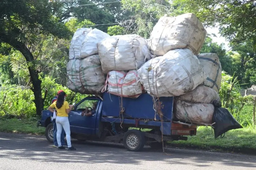 Picachero sancionado