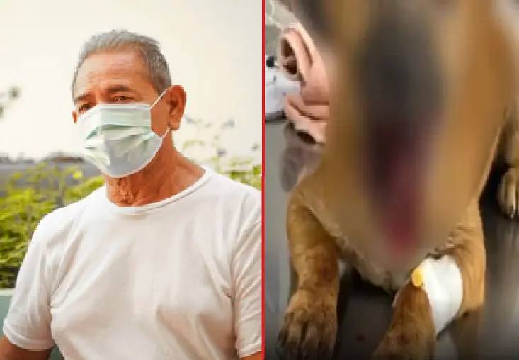 Lesion&oacute; mand&iacute;bula