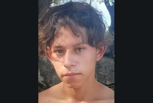 Nicarag&uuml;ense lagartija