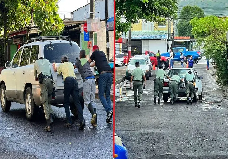 Jardines del Volc&aacute;n