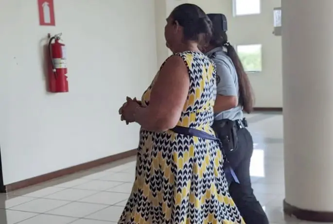 Cinco a&ntilde;os de c&aacute;rcel para mujer