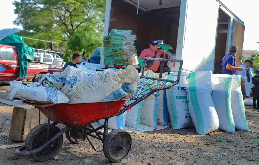 Frijol en San Vicente