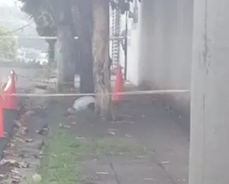 Muerto en la San Benito