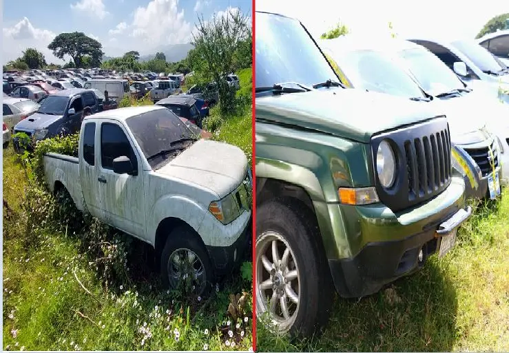 Once veh&iacute;culos