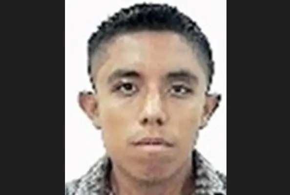 Coyote en San Miguel