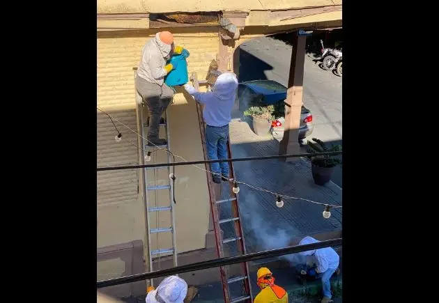 Abejas en Berl&iacute;n