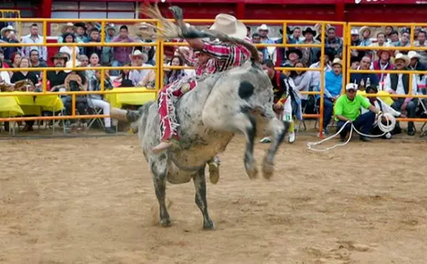 Jaripeo en San Mat&iacute;as
