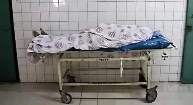 Estudiante de 14 a&ntilde;os