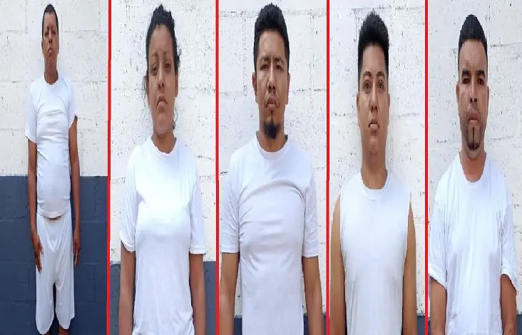 Mataron y calcinaron