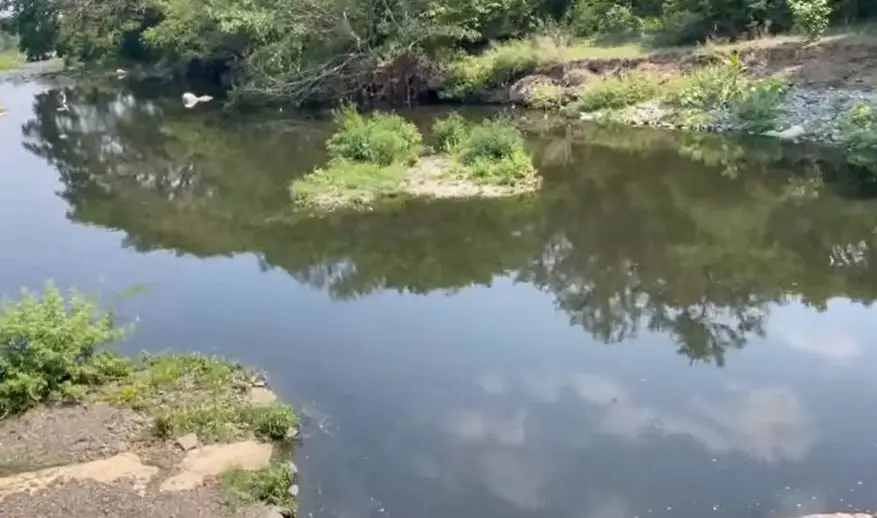 R&iacute;o San Francisco