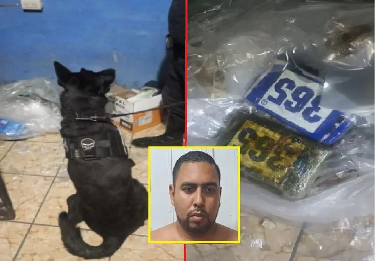 El Cuche con coca&iacute;na