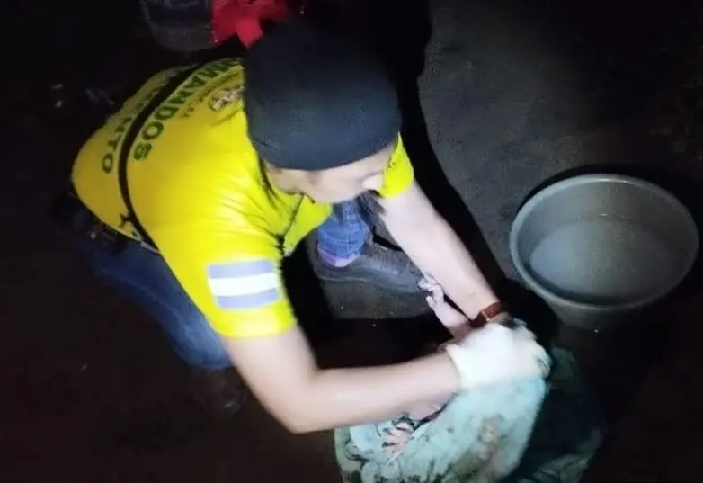 Reci&eacute;n nacido en fosa s&eacute;ptica