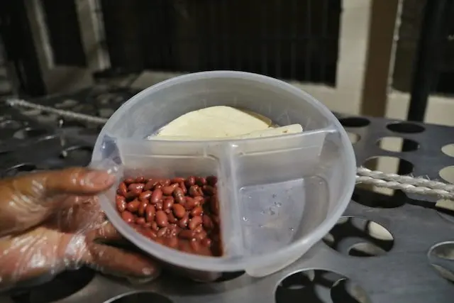 Alimentaci&oacute;n Centros Penales