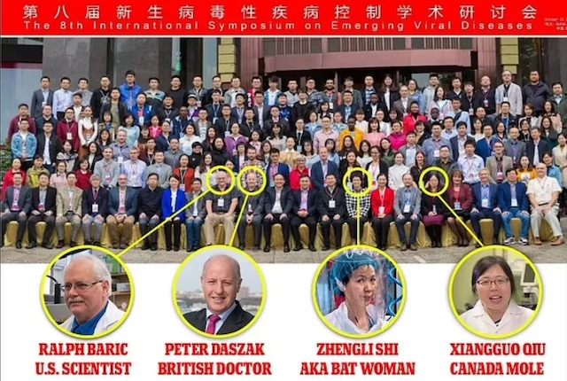 Científica china Wuhan virus