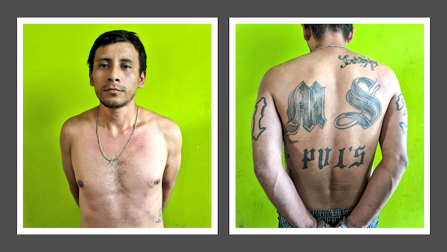 David Antonio Platero Ramírez, alias Siniestro o Chucho, corredor MS-13