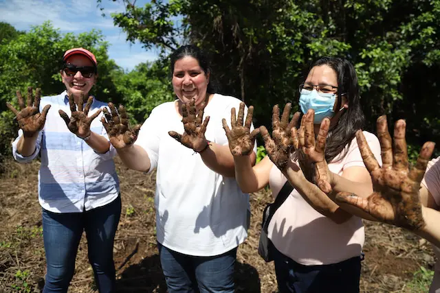 Recorrido en una parte de las &aacute;reas reforestadas con Mangle en Barra de Santago, Ahuachap&aacute;n,  el 21 de octubre de 2022, en El Salvador. El Banco Davivienda fondea a organzaciones como FUNDEMAS y AMBAS para trabajen en el rescate de los manglares destruidos por los fen&oacute;menos naturales, como huracanes y tormentas tropicales.
Foto Banco Davivienda /Salvador Melendez