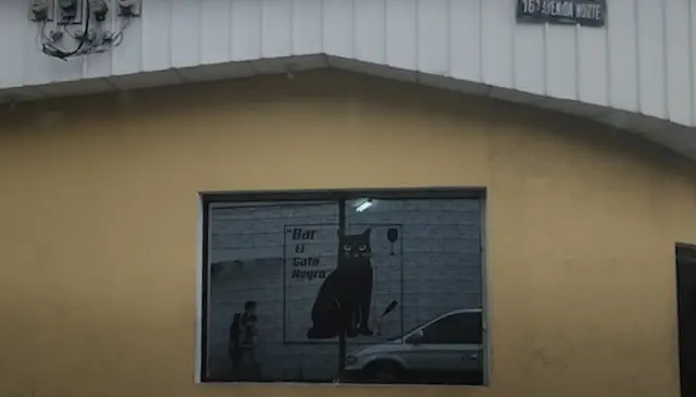 Bar El Gato Negro Centro San Salvador