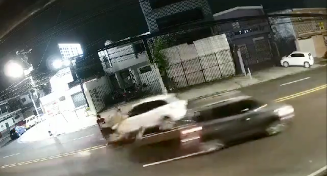 Atropellados Merliot 02-10-2024