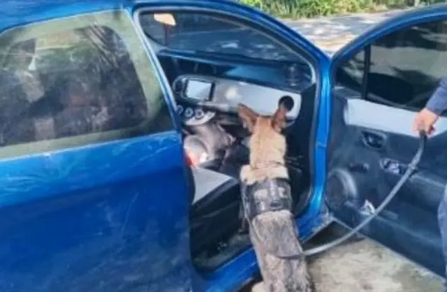 Jhonny Eliseo Medrano Ramos y Gilma Johana Zepeda Montoya, guatemaltecos, tráfico ilícito de drogas