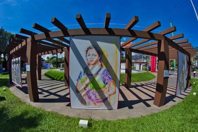 DAVIVIENDA EXPRESIONES DEL ALMA 2024-1