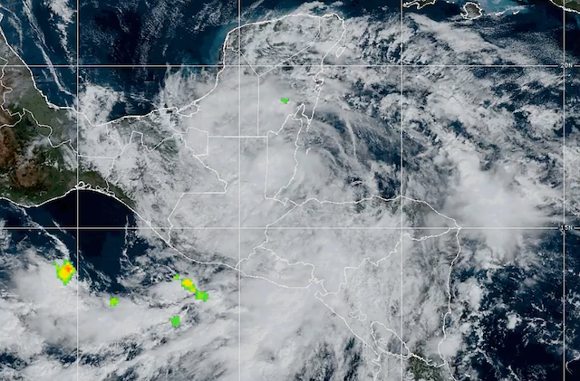 Captura de Pantalla 2024-11-17 a la(s) 14.43.50