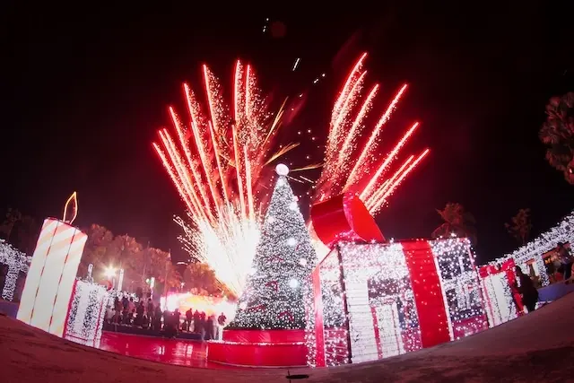 Encendido del &Aacute;rbol Navide&ntilde;o Davivienda 2024 en los ex Redondeles de las Fuentes de Beethoven, en San Salvador, El Salvador, el 26 de noviembre de 2024Foto Banco Davivienda/ Salvador Mel&eacute;ndez