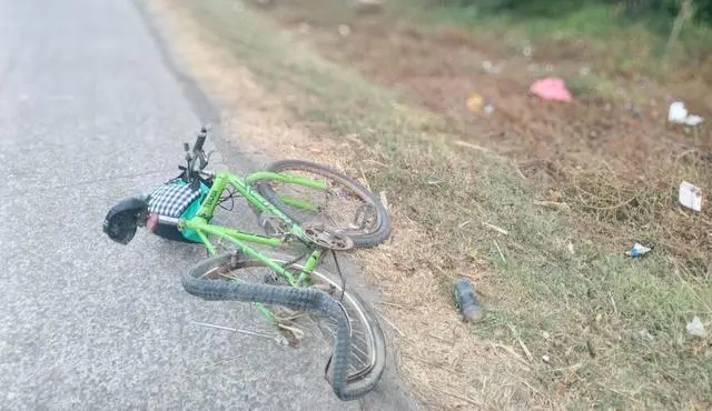 Atropellado km 74 carretera del Litoral, Tecoluca, San Vicente 27-12-2024