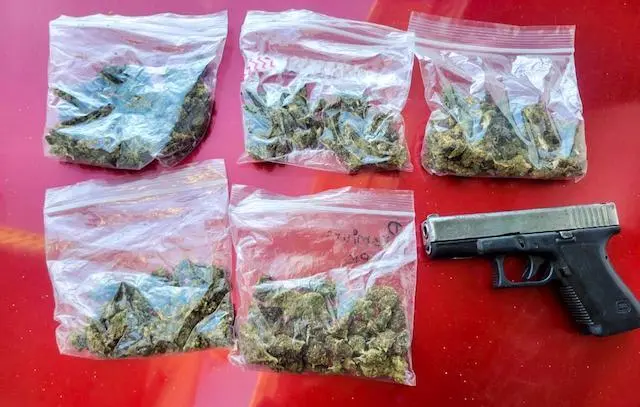 José German Grande González, posesión y tenencia de drogas y portación ilegal de arma de fuego 2