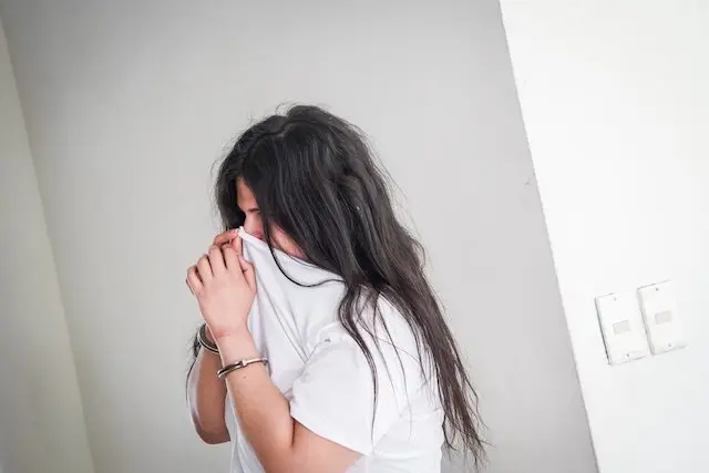 Hamlet Rafael de Paz Escobar Romina detención provisional