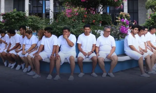 Licencias de conducir fraudulentas 24 con detención provisional