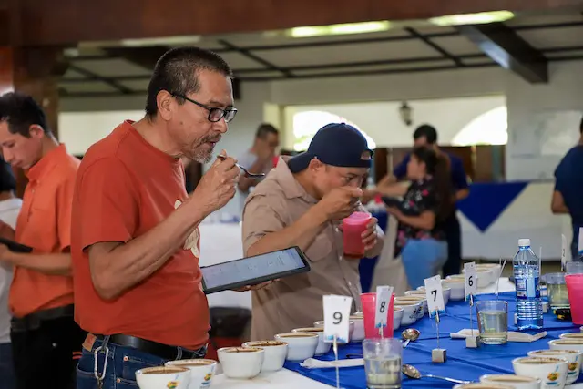 Inicia Taza de Excelencia El Salvador 2025