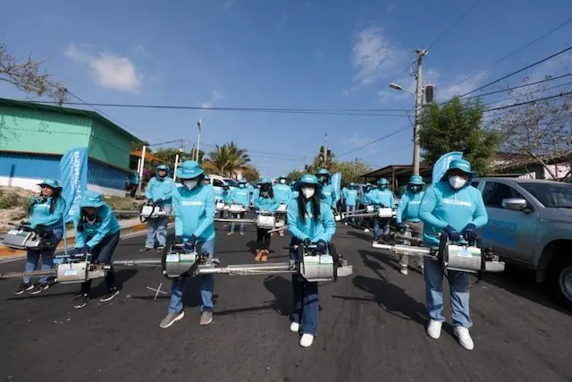 Plan Nacional de Fumigación DOM-15 Marzo 2025