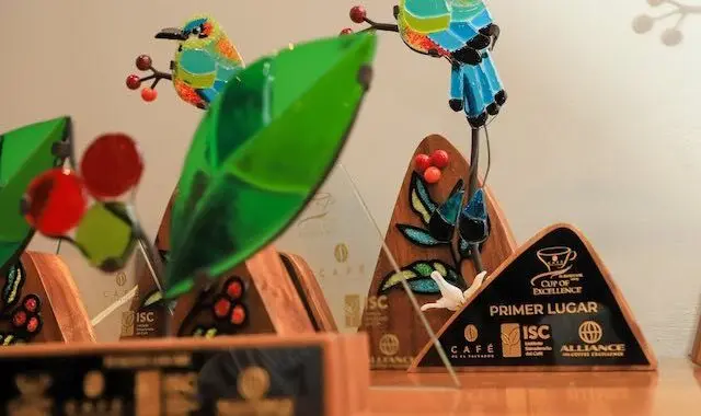 Taza de la Excelencia 2025