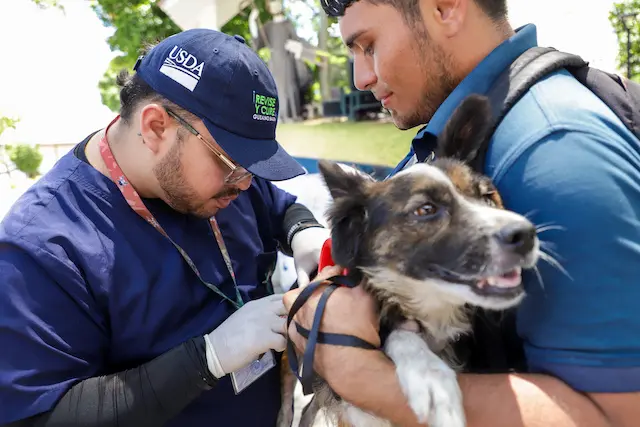 MAG fortalece la campaña de protección de mascotas contra el gusano barrenador_3